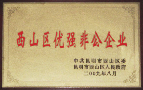 2009年西山區(qū)優(yōu)強(qiáng)非公企業(yè)